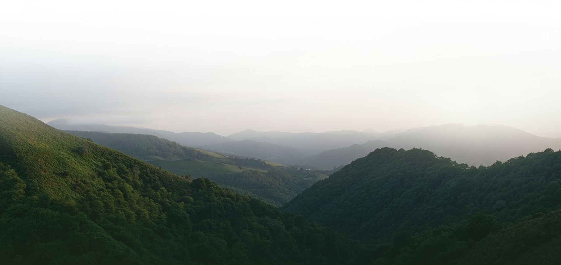 The Architecture of Stillness