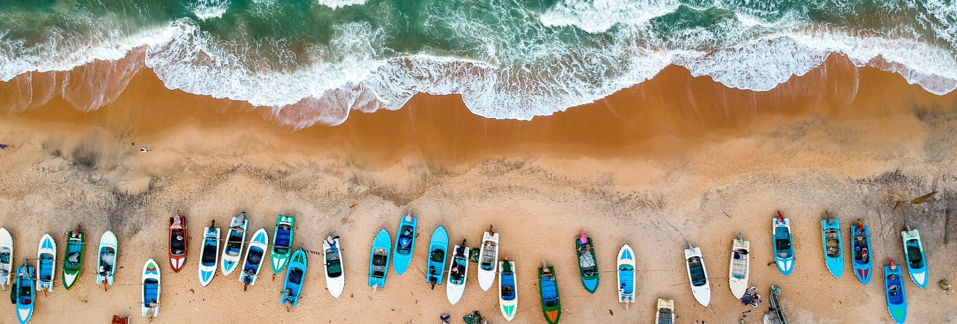 Untamed Arugam Bay