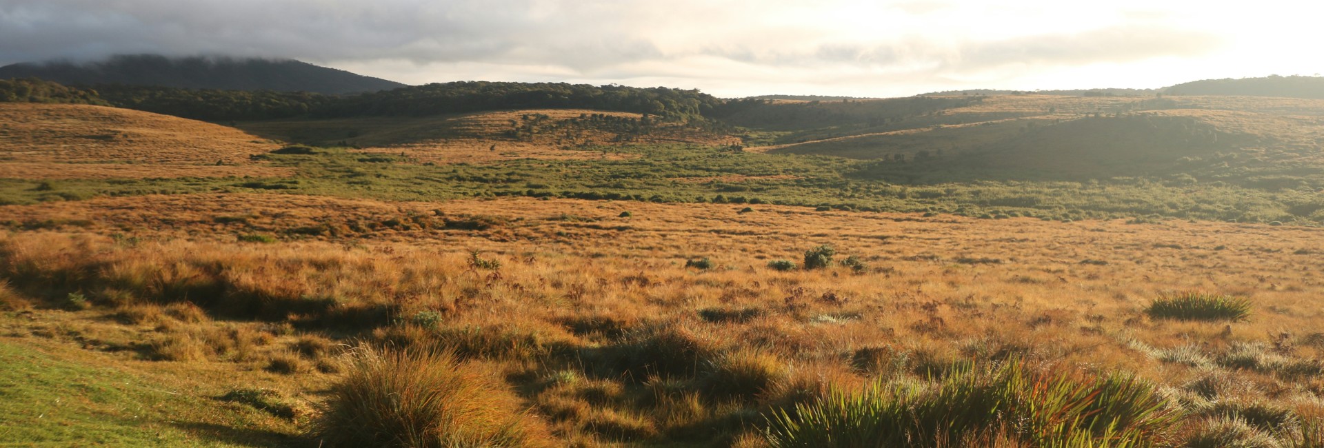 Horton Plains Trek