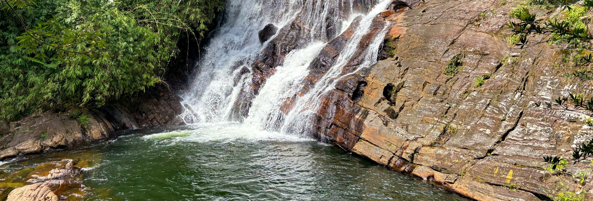 Sinharaja Rainforest Trek