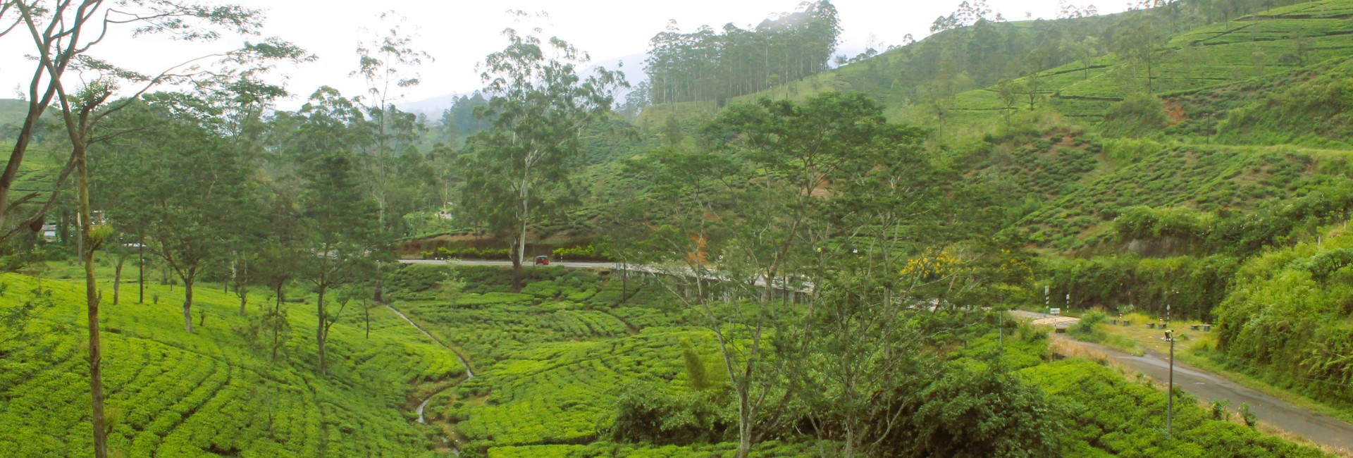 Emerald Hatton Estates