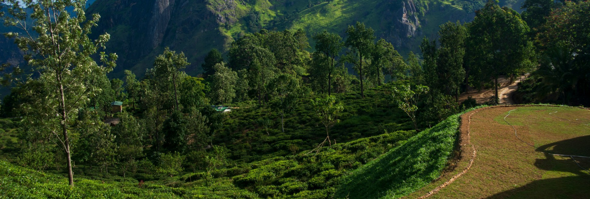 Ella Valley Plantations