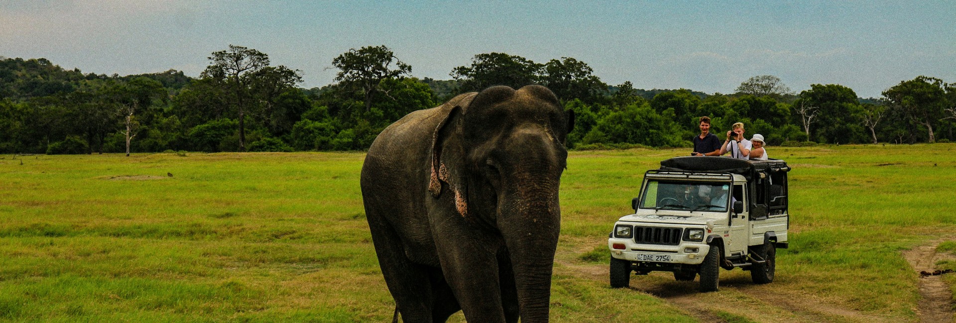 National Park Jungle Safari