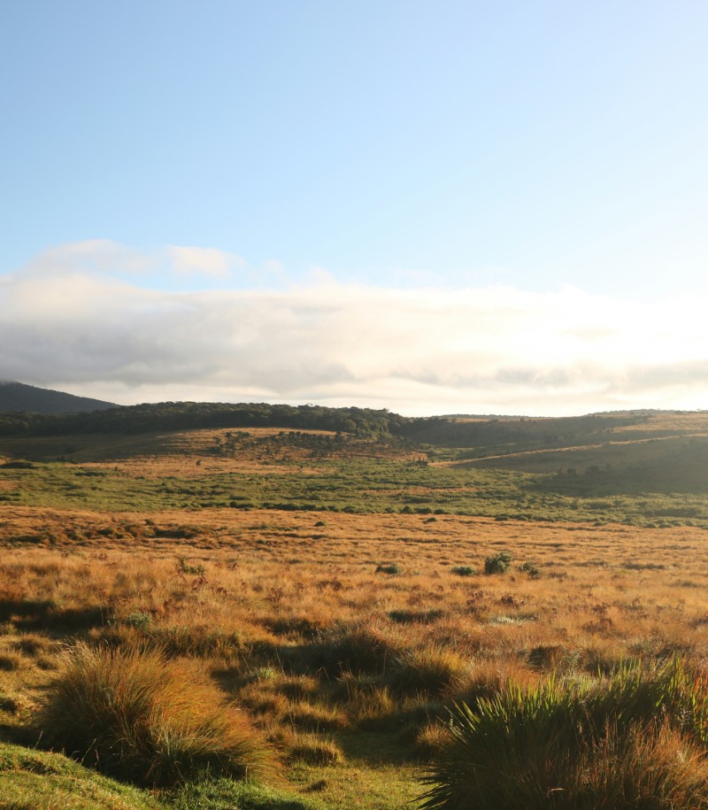 Horton Plains Trek