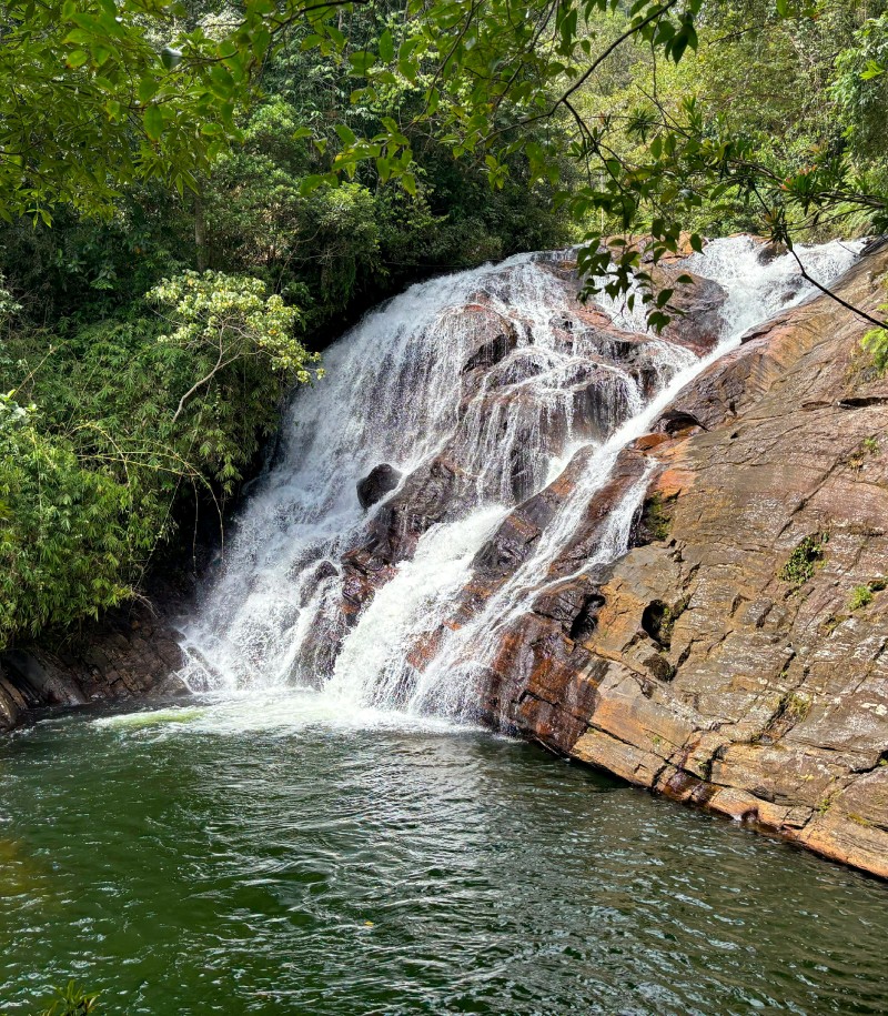 Sinharaja Rainforest Trek